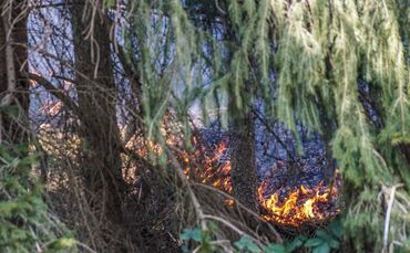 Feuerwehr Feuer Brand Weinstadt Baach_0