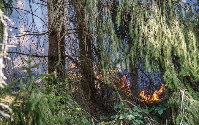 Feuerwehr Feuer Brand Weinstadt Baach_4