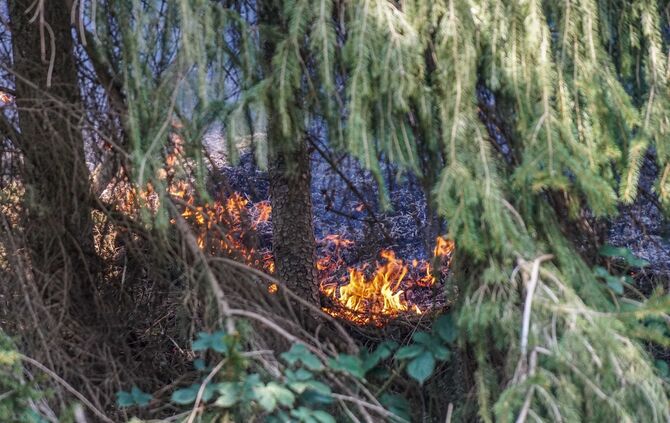 Feuerwehr Feuer Brand Weinstadt Baach_11