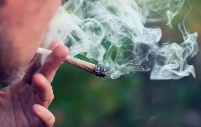 Cannabis Marihuana (nur einmal verwenden!)