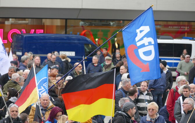 afd stuttgart demo
