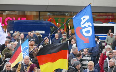 afd stuttgart demo