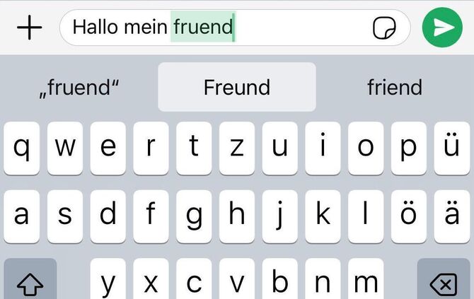 Durch die Umstellung wird auf dem iPhone die Farbe der Symbole in der App von Blau auf Grün gestellt.