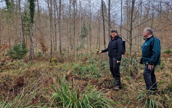 Dagmar Wulfes und Gert Pfeiffer vom Kreisforstamt Rems-Murr im Wald in Urbach