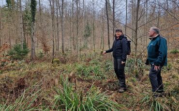 Dagmar Wulfes und Gert Pfeiffer vom Kreisforstamt Rems-Murr im Wald in Urbach