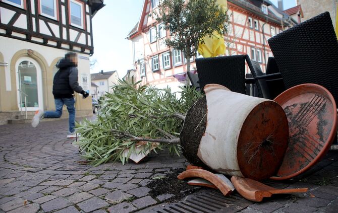 658170b6-029d-4b74-a2f8-9a73d522f5df.jpg_0