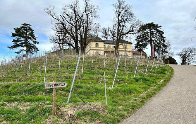 WhatsApp Image 2024-02-26 at 13.15.59