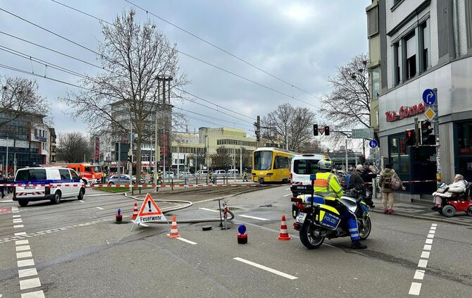 WhatsApp Image 2024-03-07 at 13.06.02