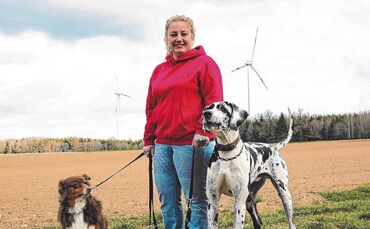 Fremde Hunde besser nicht streicheln_0