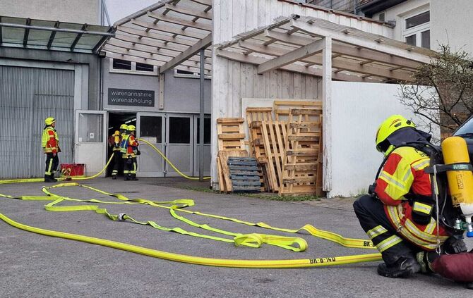 WhatsApp Image 2024-03-16 at 15.37.17