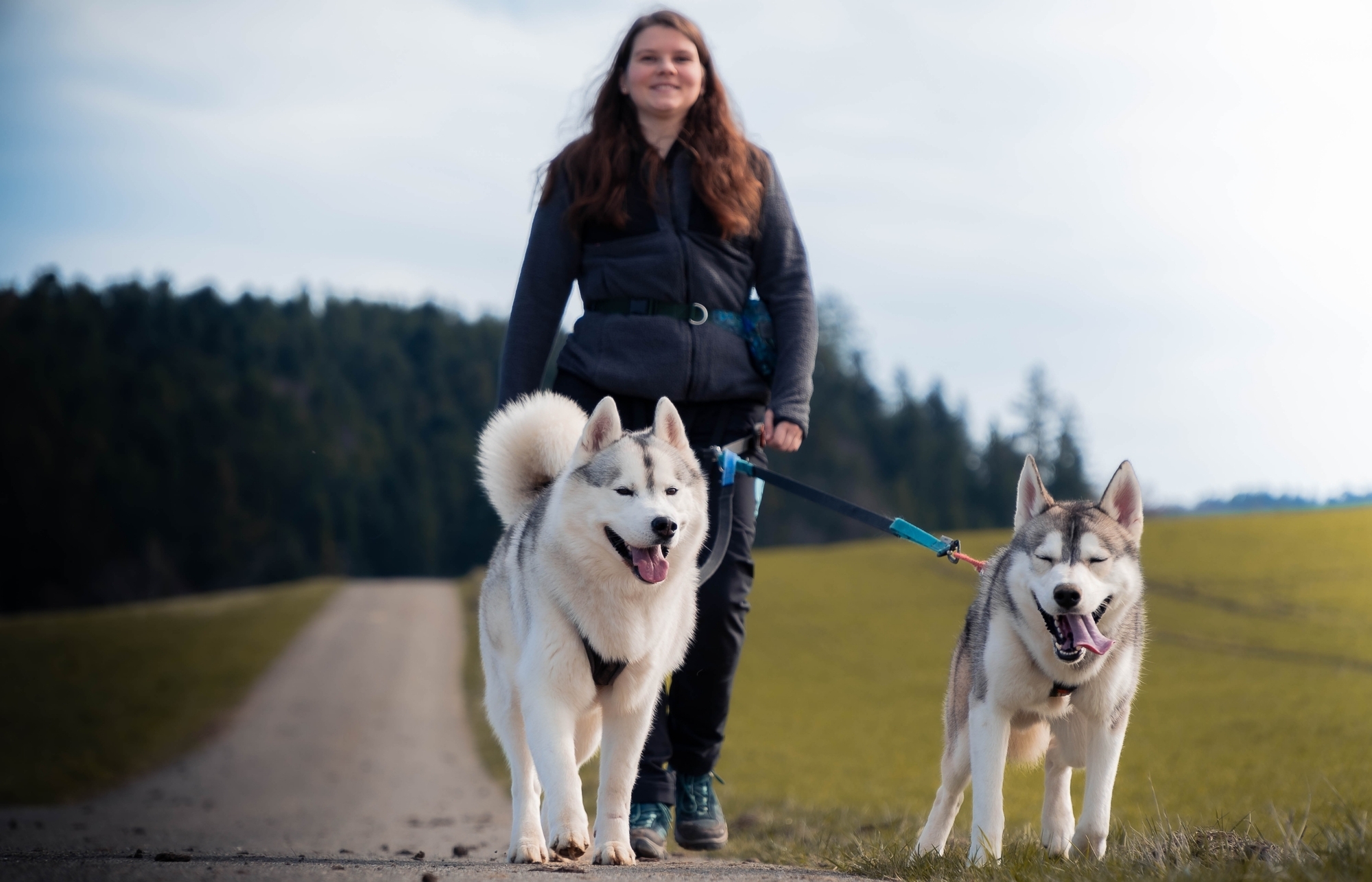 Wanderung mit Huskys: Paar bietet Touren durch den Schwäbischen Wald an ...