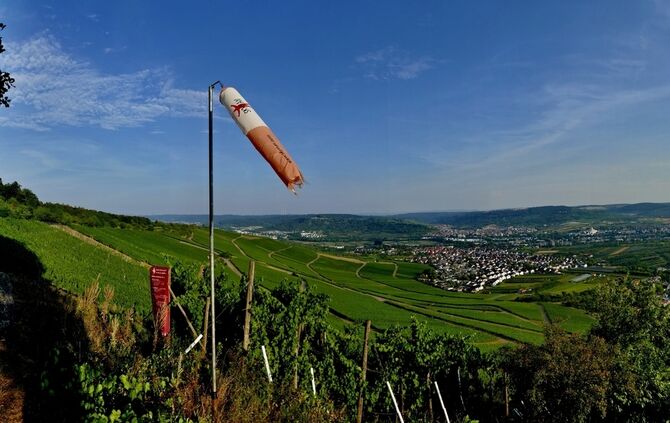 Kleinheppacher Kopf