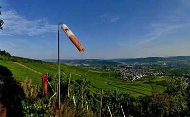 Kleinheppacher Kopf 