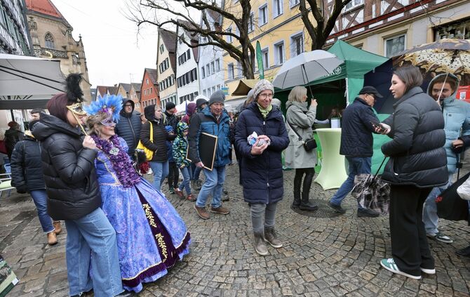 Fruehlingserwachen