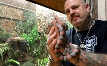 Schlangen sind Schisser_0