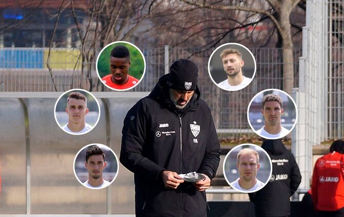 Trainer Pellegrino Matarazzo die Qual der Wahl._0