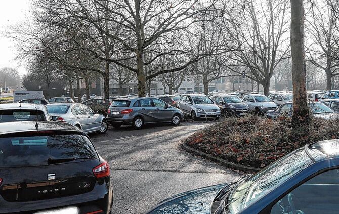 Schnelle PH-Buslinien gewünscht_0