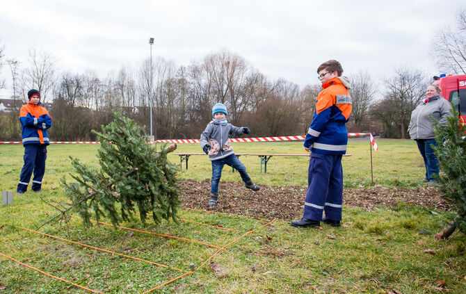 Wenn Nadelbäume fliegen - Bild 05_5