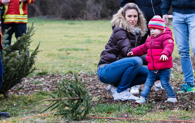 Wenn Nadelbäume fliegen - Bild 09_8
