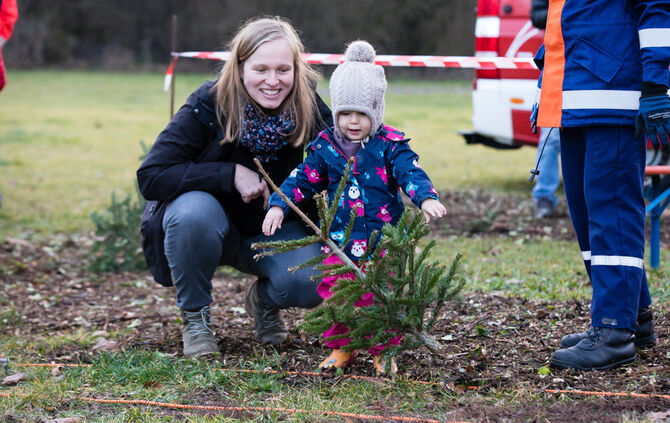 Wenn Nadelbäume fliegen - Bild 10_9