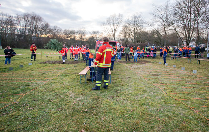 Wenn Nadelbäume fliegen - Bild 11_10
