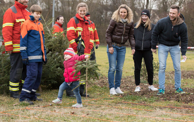 Wenn Nadelbäume fliegen - Bild 13_12
