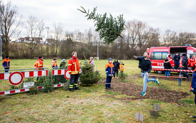 Wenn Nadelbäume fliegen - Bild 14_13