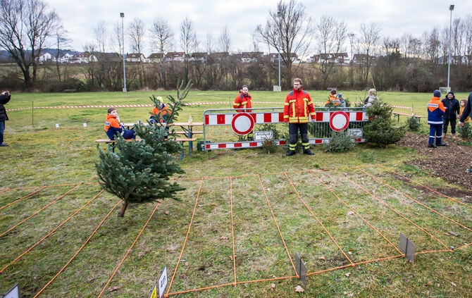 Wenn Nadelbäume fliegen - Bild 15_14