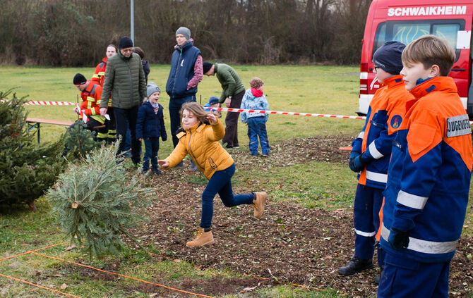 Wenn Nadelbäume fliegen - Bild 16_15