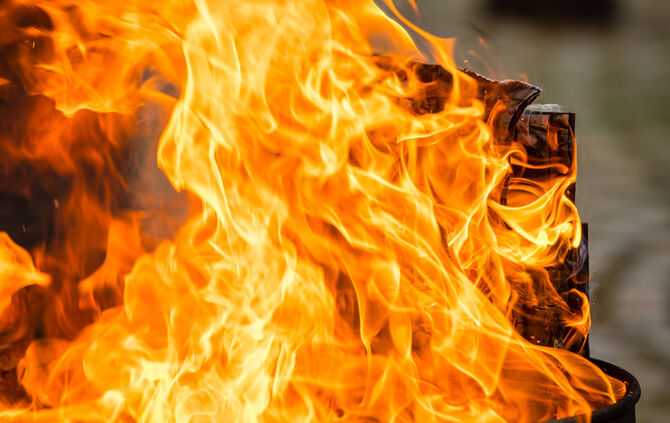 Wenn Nadelbäume fliegen - Bild 17_16