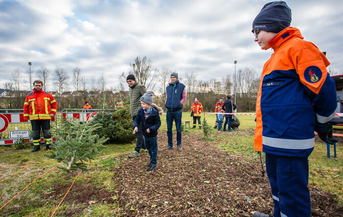 Wenn Nadelbäume fliegen - Bild 18_17