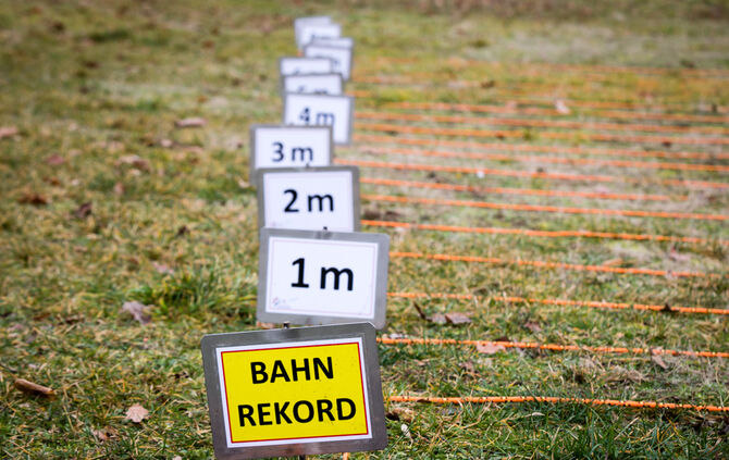 Wenn Nadelbäume fliegen - Bild 19_18