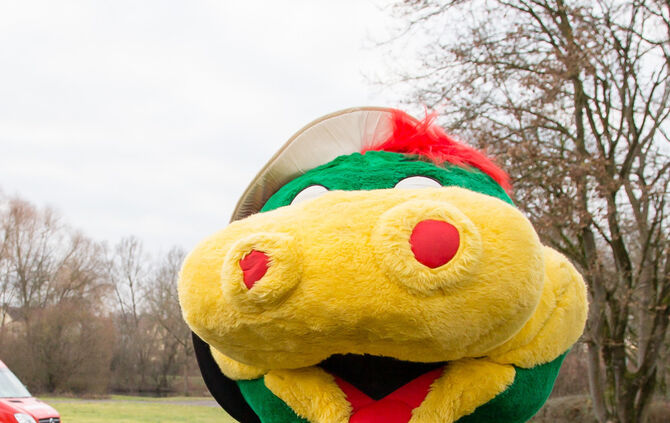 Wenn Nadelbäume fliegen - Bild 21_20