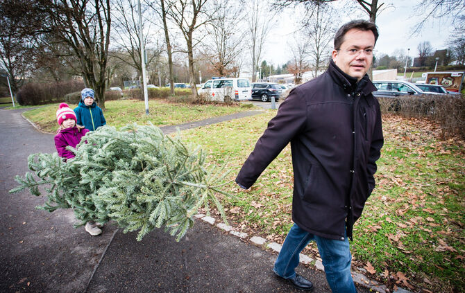 Wenn Nadelbäume fliegen - Bild 22_21