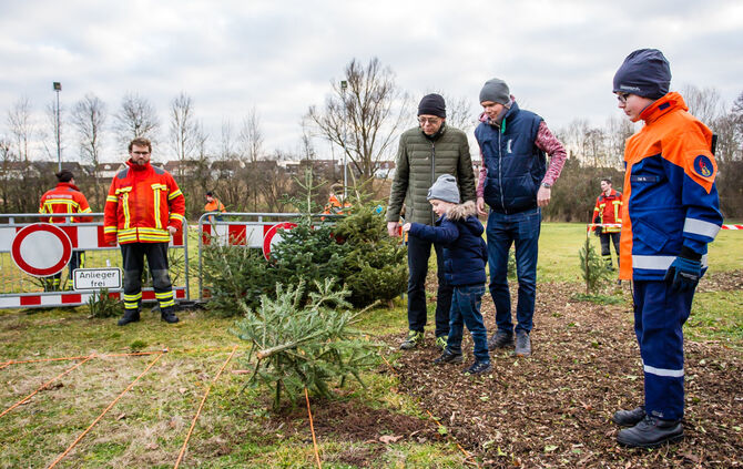 Wenn Nadelbäume fliegen - Bild 24_23