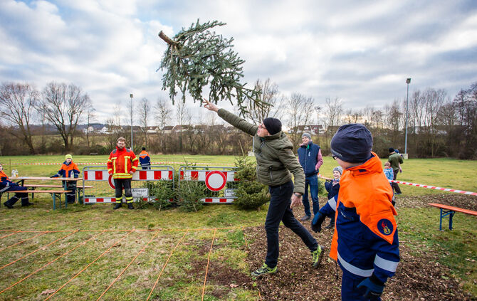 Wenn Nadelbäume fliegen - Bild 25_24