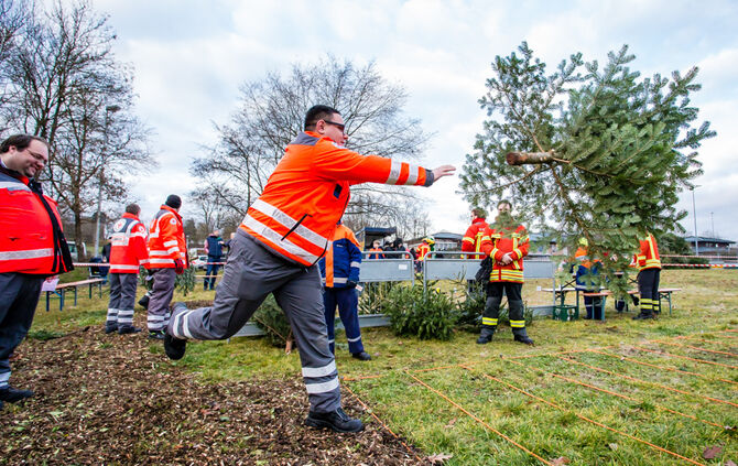 Wenn Nadelbäume fliegen - Bild 26_25