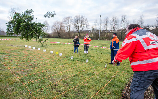 Wenn Nadelbäume fliegen - Bild 28_27