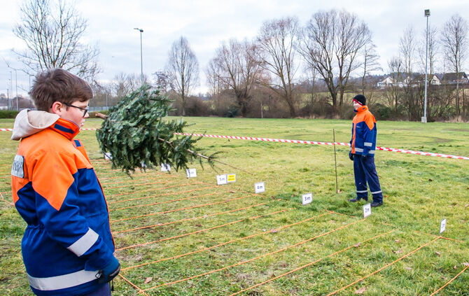 Wenn Nadelbäume fliegen - Bild 29_28