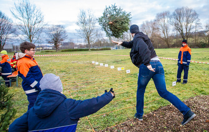 Wenn Nadelbäume fliegen - Bild 30_29