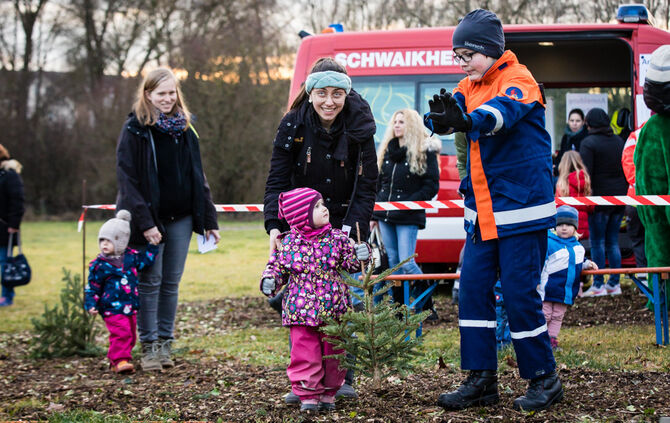 Wenn Nadelbäume fliegen - Bild 31_30