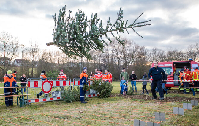 Wenn Nadelbäume fliegen - Bild 33_32