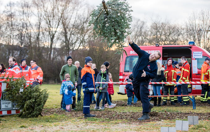 Wenn Nadelbäume fliegen - Bild 34_33