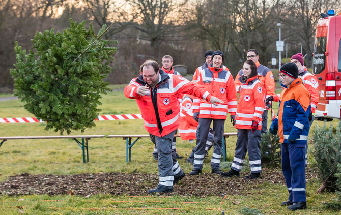 Wenn Nadelbäume fliegen - Bild 35_34