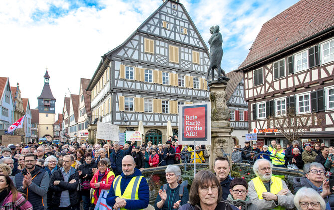 Demonstration für Toleranz und Vielfalt, Marktplatz Winnenden, 10.2.2024.