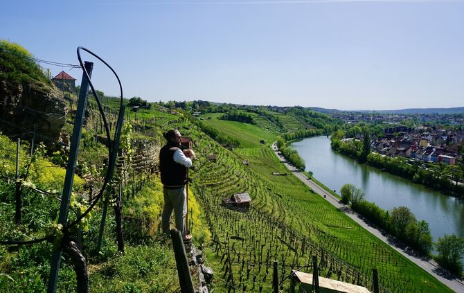 BFC77EC6-2CD1-4EC8-AB2A-5E532C0C35AE_1_201_a