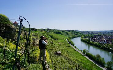 BFC77EC6-2CD1-4EC8-AB2A-5E532C0C35AE_1_201_a