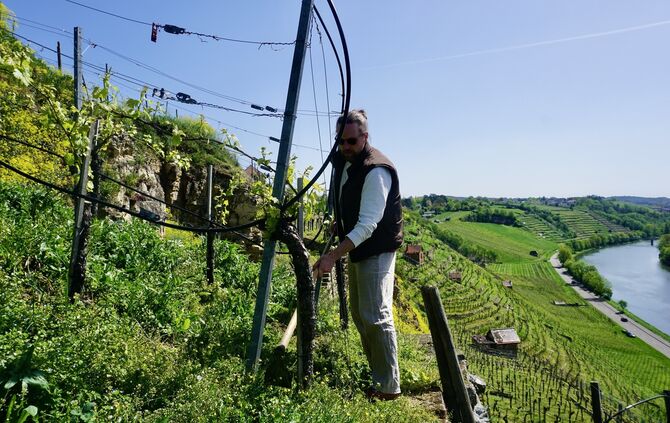 AD1B3B15-99C5-4BC6-860F-03480A8061A4_1_201_a