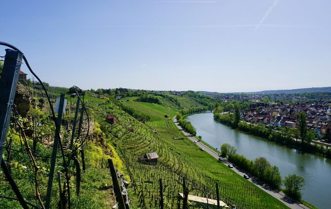 7006ED18-B07D-4AD3-AD1E-362E0AB05627_1_201_a