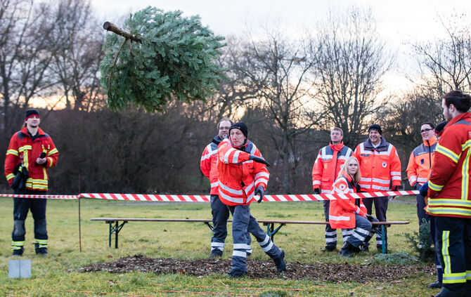 Wenn Nadelbäume fliegen - Bild 36_35